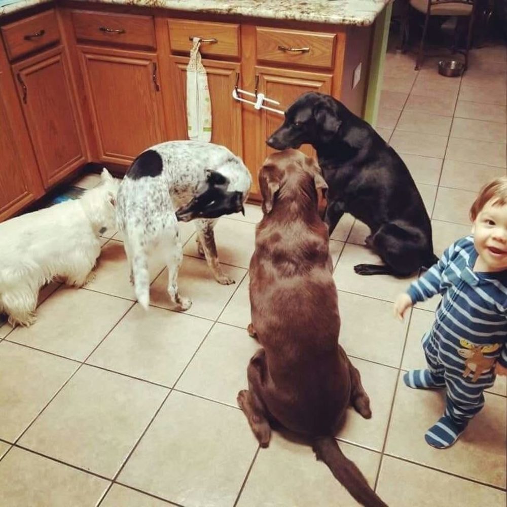 Meet your Posher, Laura